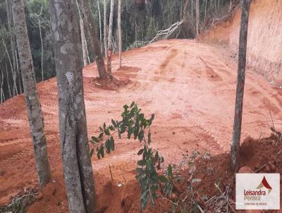 Terreno para Venda, em Teres�polis, bairro PRATA